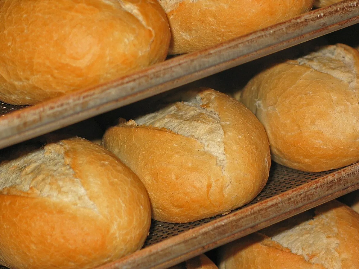 Panecillos recién horneados como los que se reparten el día de San Antonio
